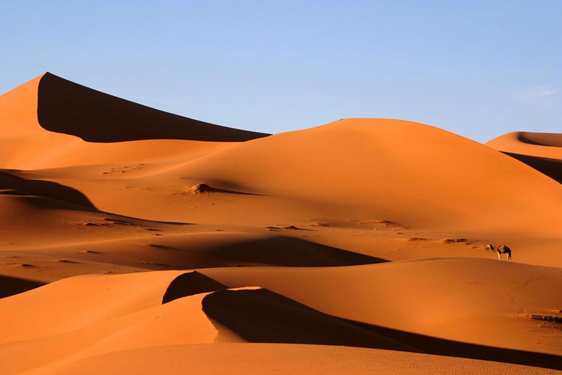 Desert Chegaga Luxury Camp El Gouera Exterior foto